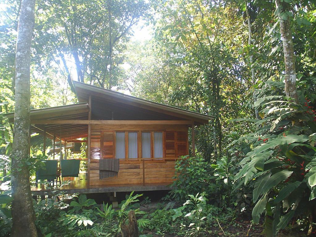 El Tucan Jungle Lodge Puerto Viejo de Talamanca Room photo